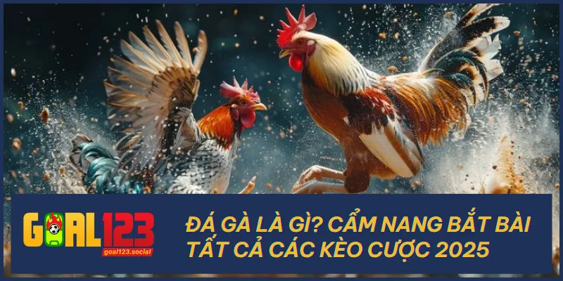 Đá Gà Là Gì? Cẩm Nang Bắt Bài Tất Cả Các Kèo Cược 2025